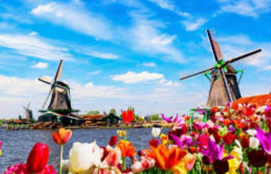 Huisje Finn, Met Grote Tuin En Veel Privacy Dirkshorn エクステリア 写真